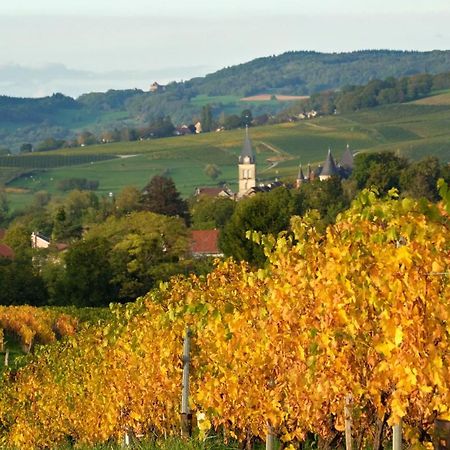 Gite Le Douglas, Vignoble Et Reculees Du Jura - Avec Sauna Lavigny Exteriér fotografie