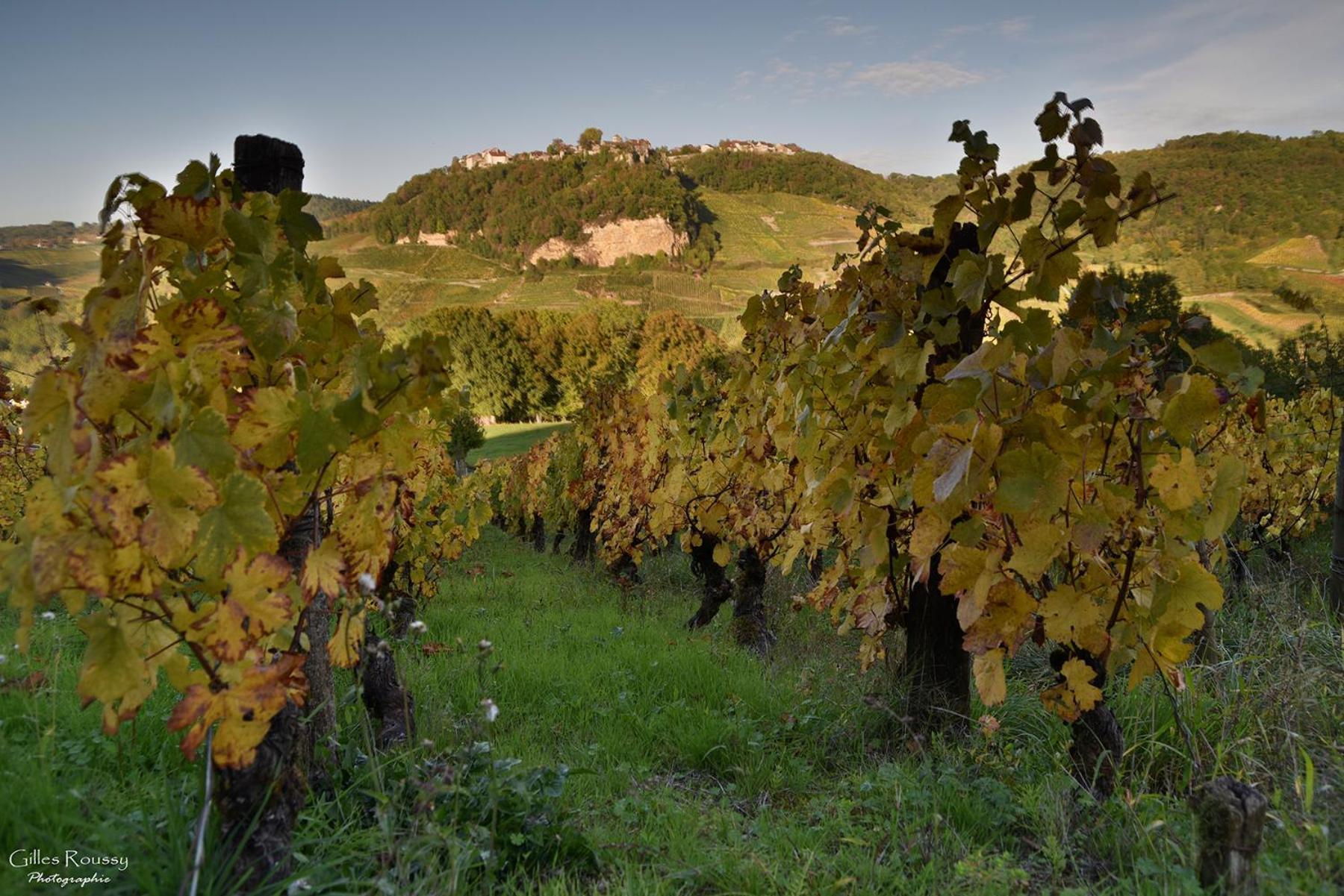 Gite Le Douglas, Vignoble Et Reculees Du Jura - Avec Sauna Lavigny Exteriér fotografie
