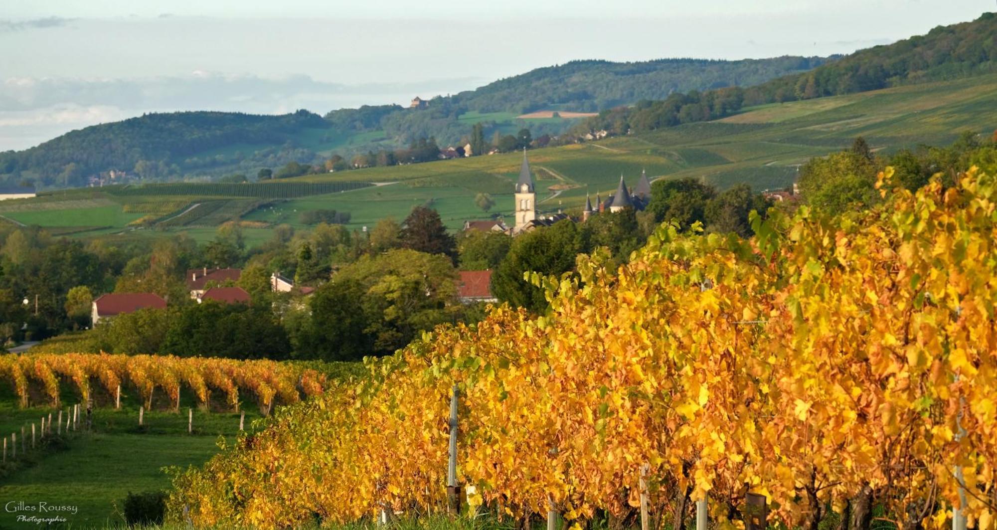 Gite Le Douglas, Vignoble Et Reculees Du Jura - Avec Sauna Lavigny Exteriér fotografie